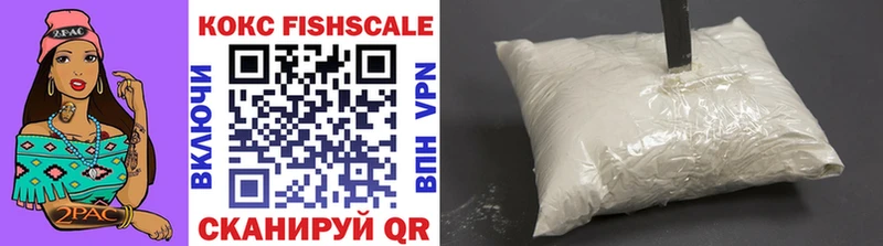 Cocaine Fish Scale  кракен как зайти  Тюкалинск  цены наркотик 