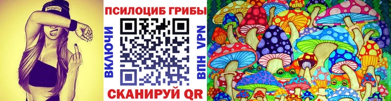hydra как войти  Тюкалинск  Псилоцибиновые грибы прущие грибы  что такое  